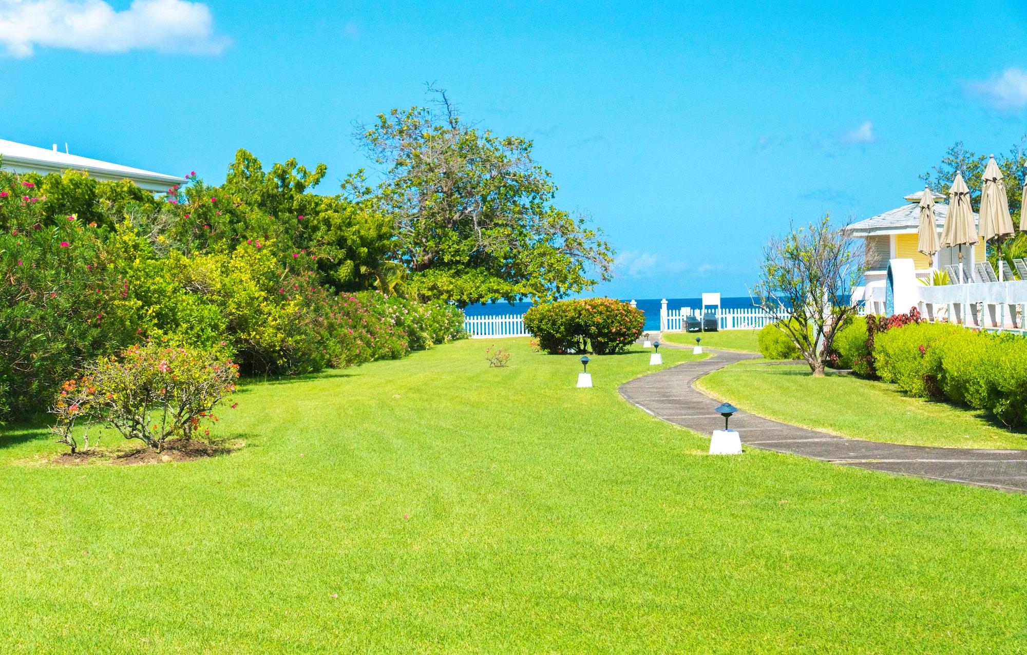 Allamanda Beach Resort Grand Anse Esterno foto